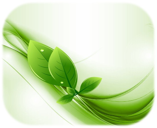 Eco-Leaves-and-Green-Wave-Vectorsm